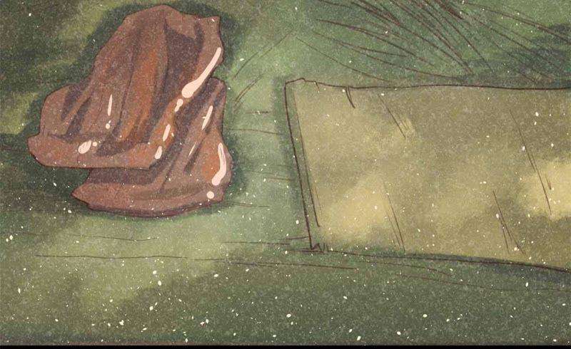 95.jpg