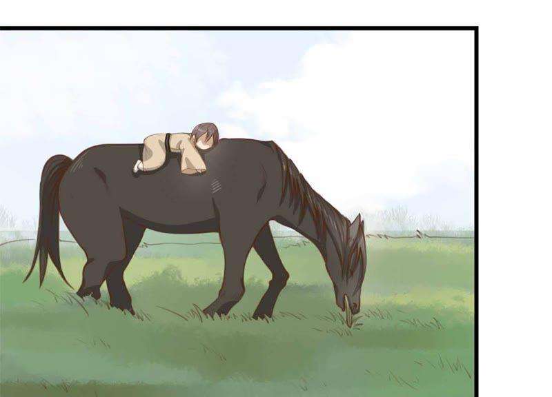 28.jpg