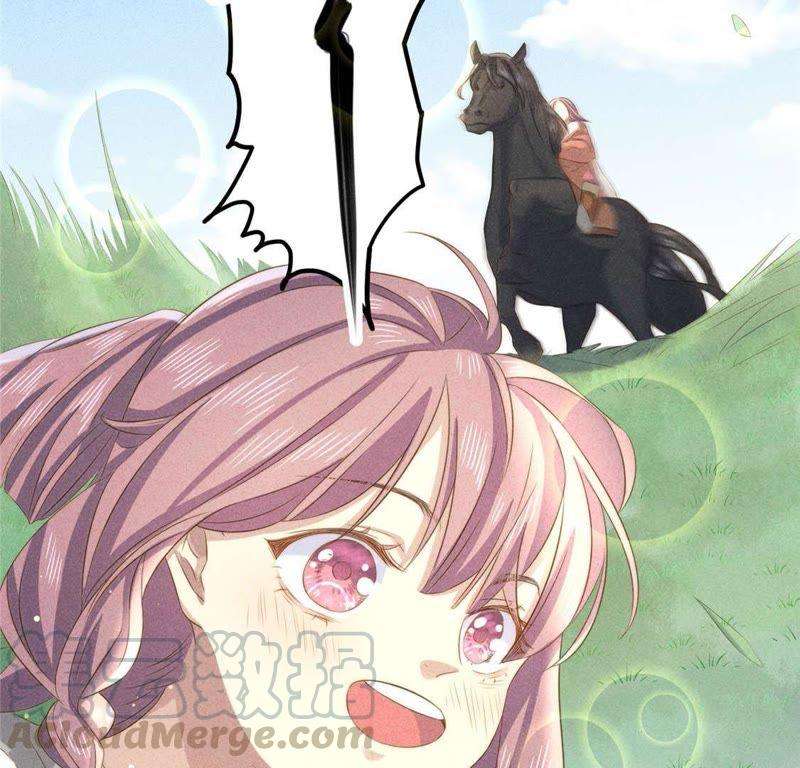 61.jpg