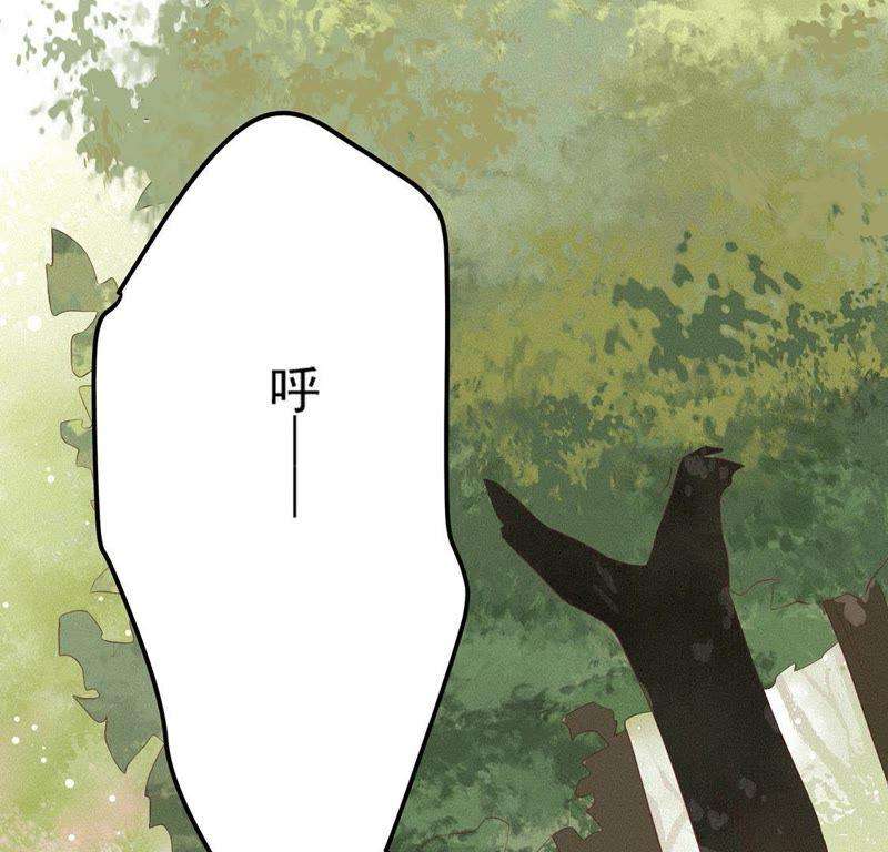 74.jpg