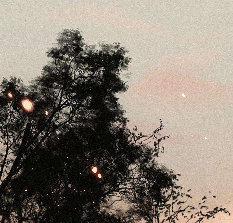 53.jpg