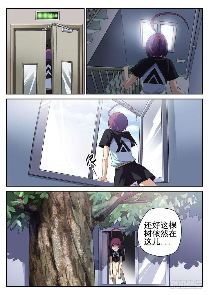 8.jpg