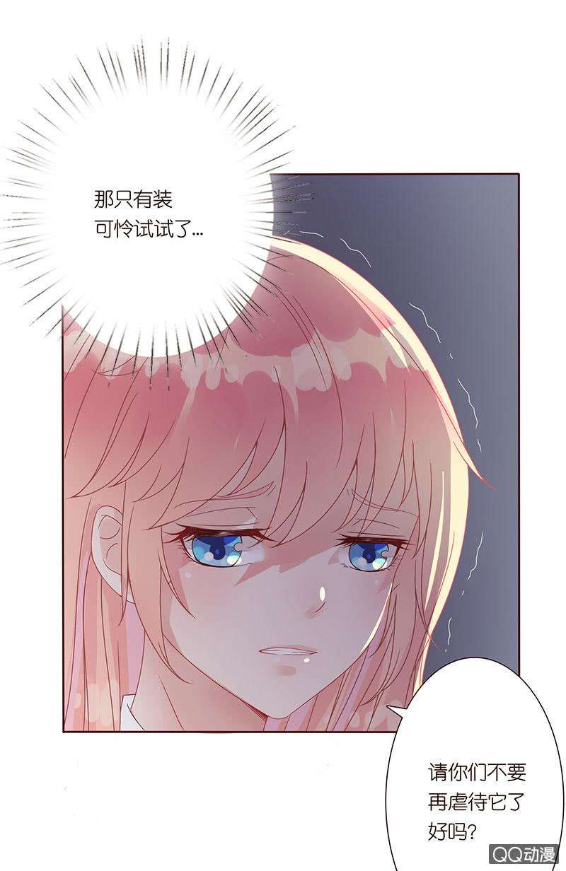 26.jpg