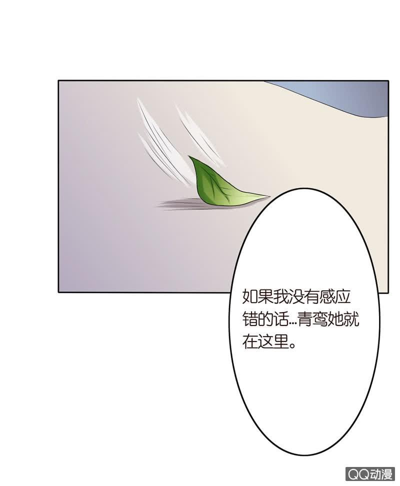 26.jpg