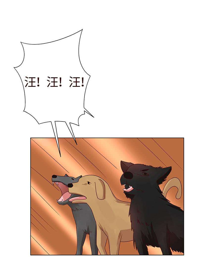 40.jpg