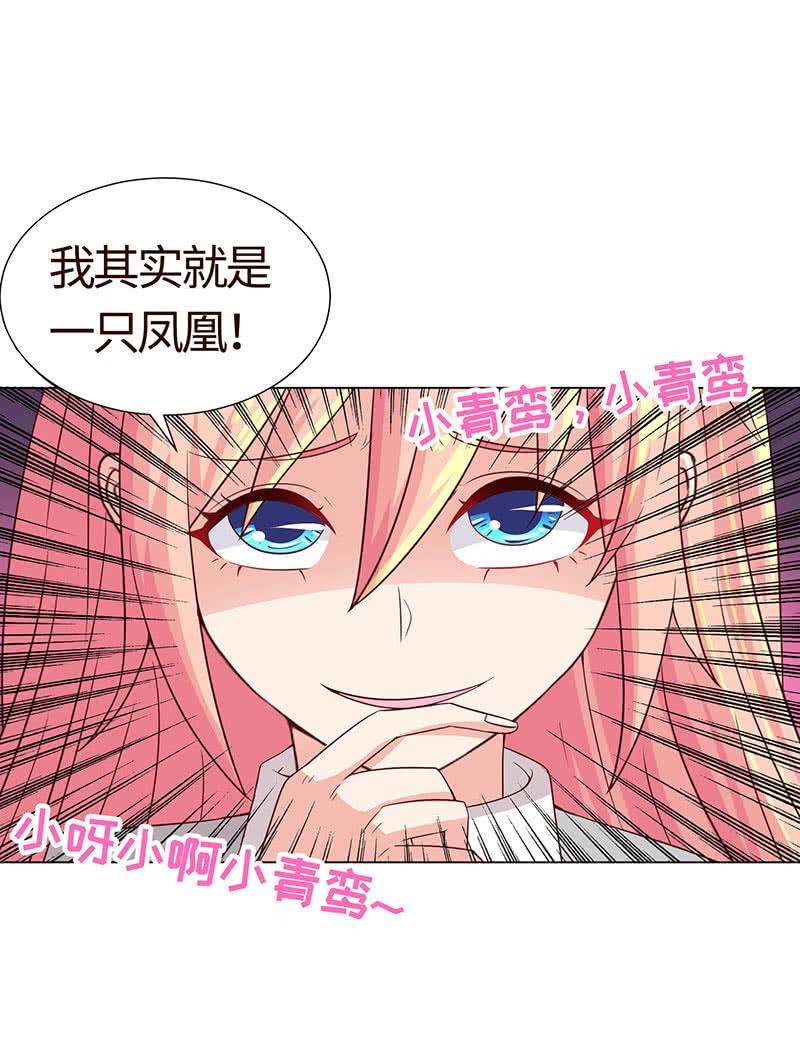 48.jpg