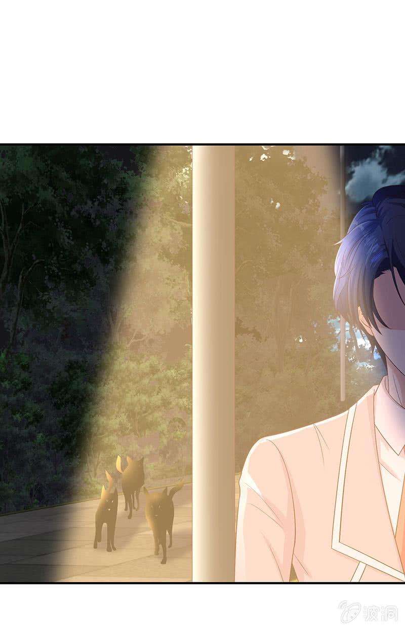 21.jpg