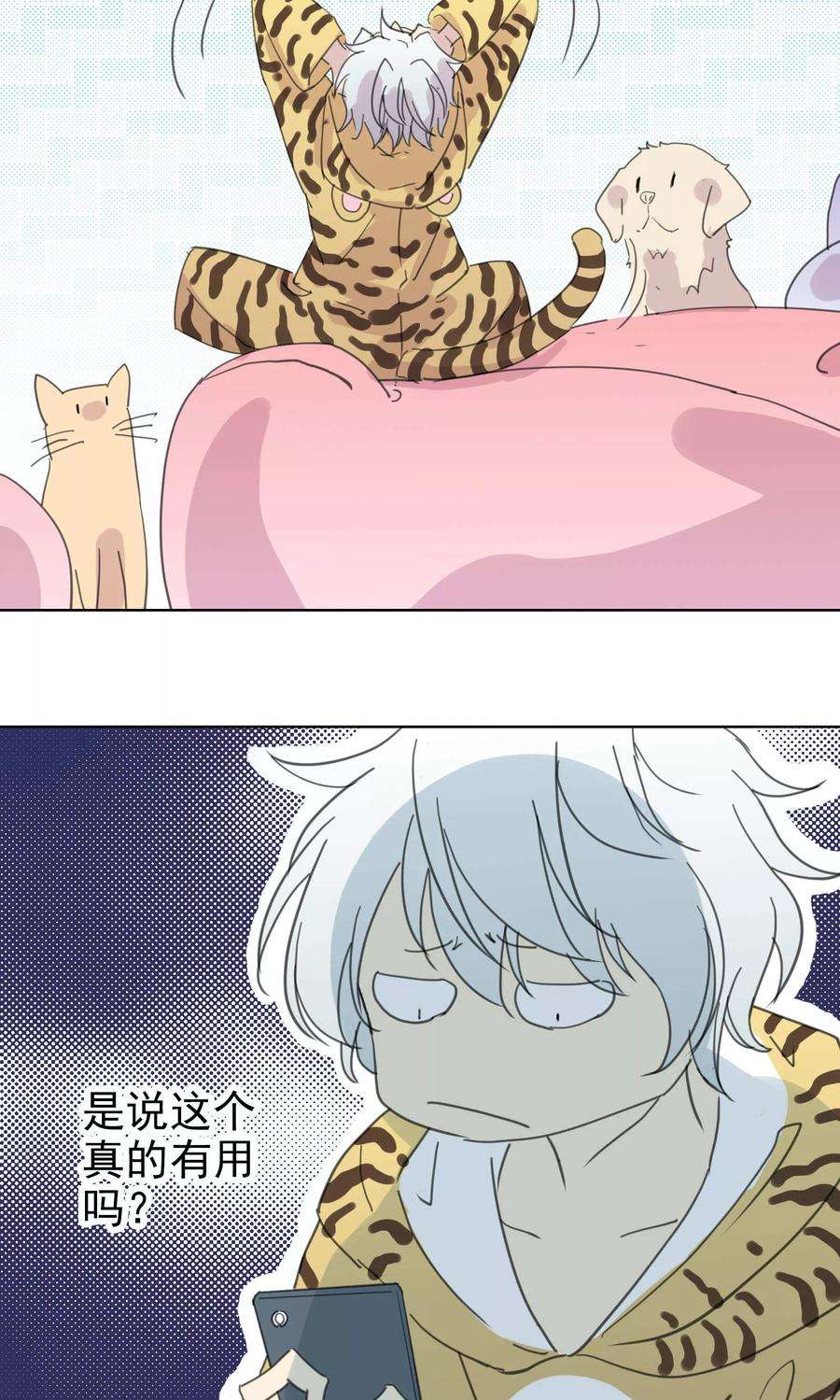 23.jpg