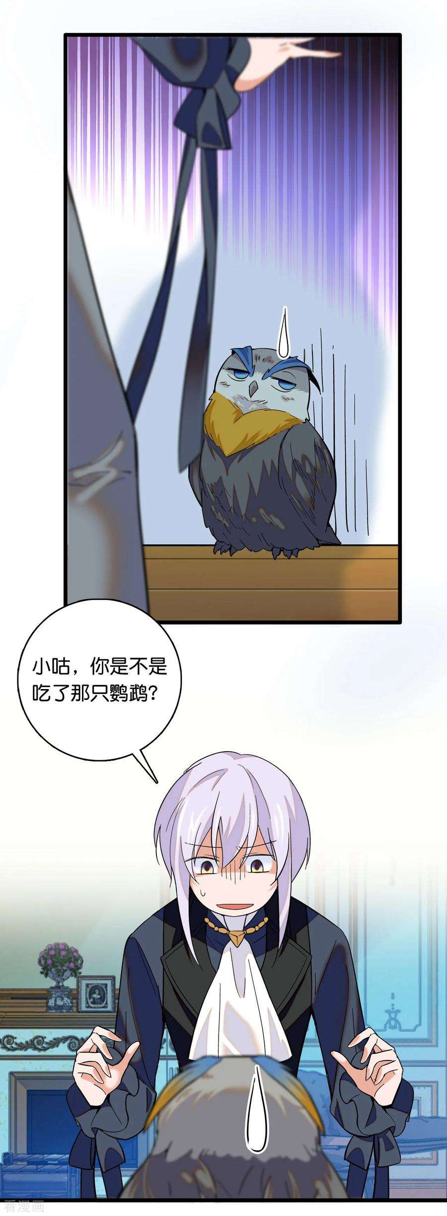 11.jpg