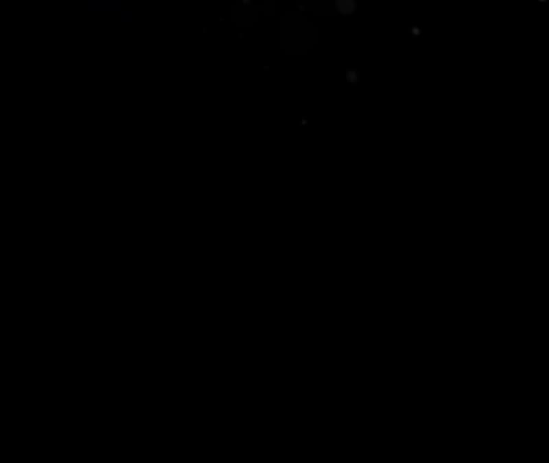 82.jpg
