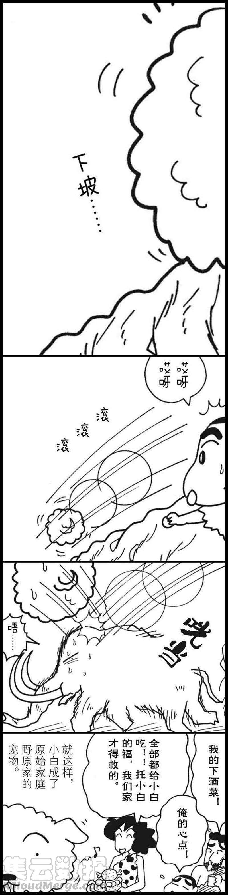 11.jpg