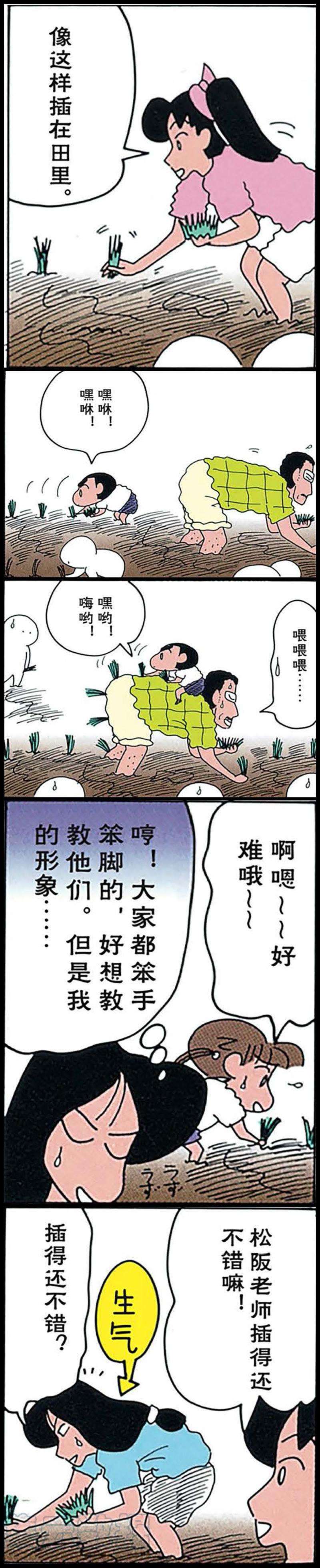 13.jpg