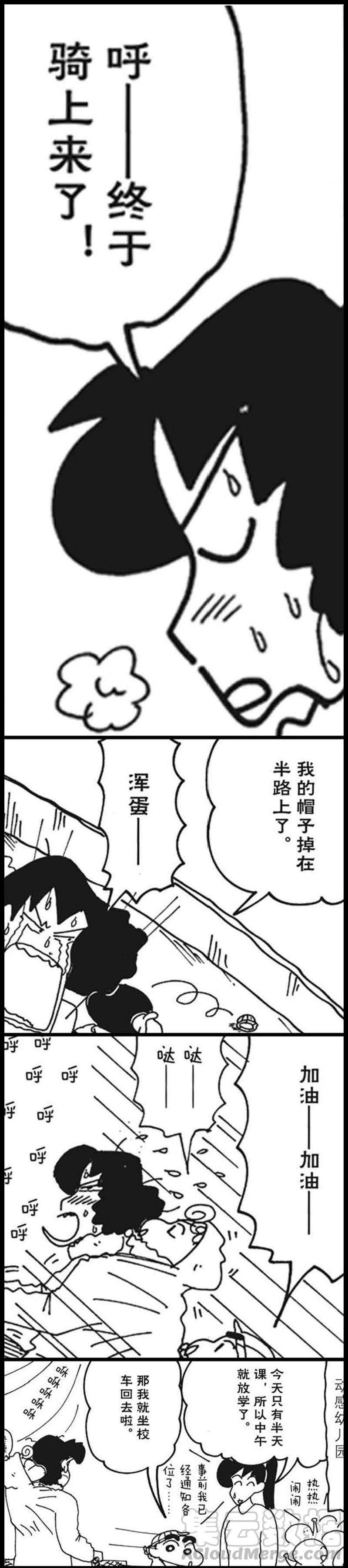 11.jpg