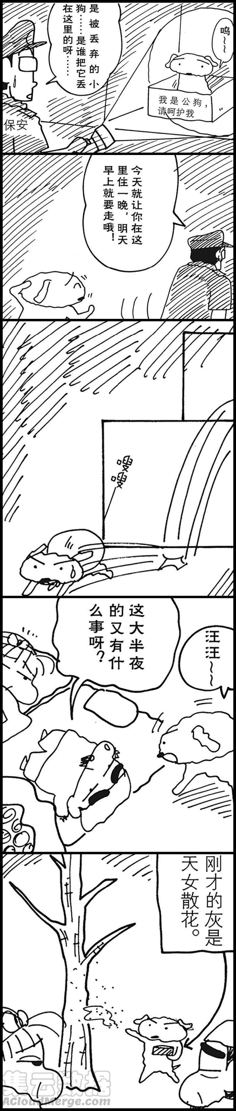 13.jpg