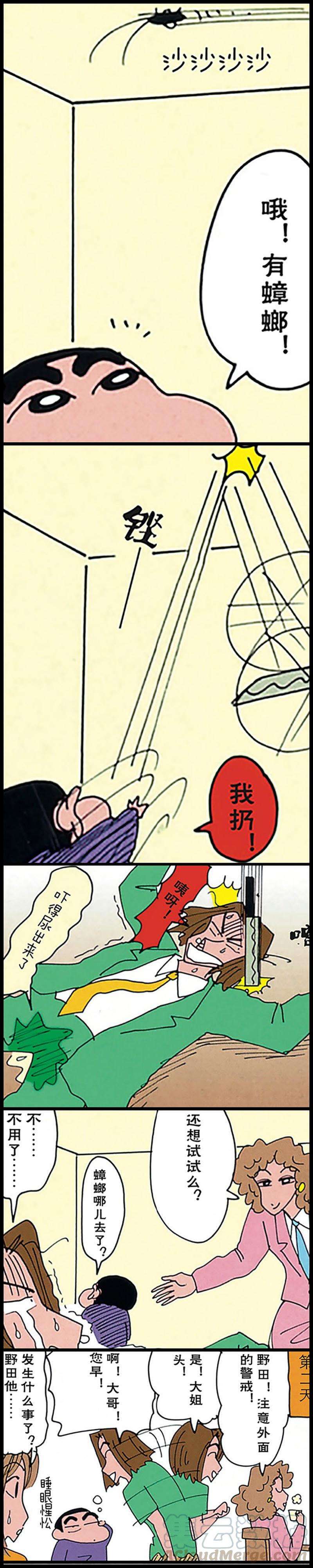 13.jpg