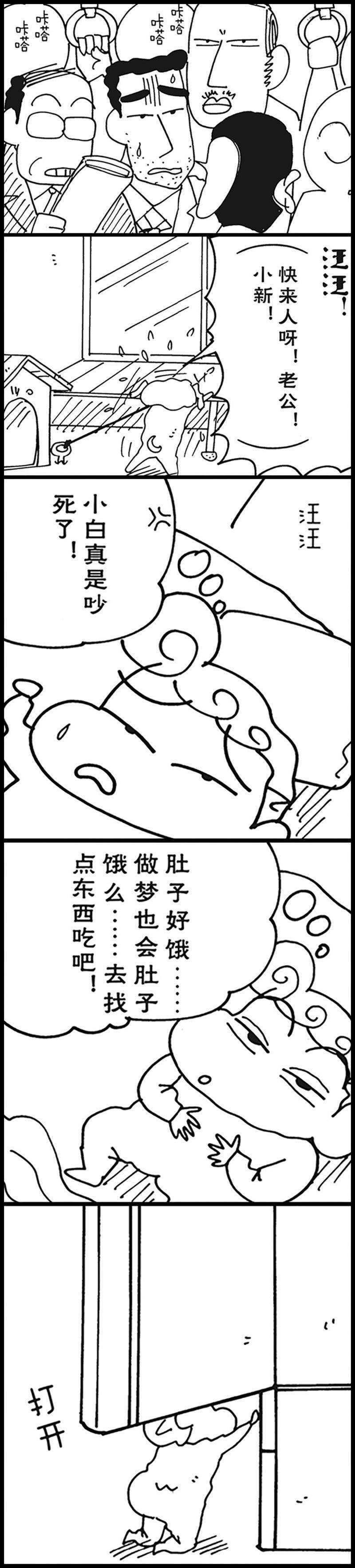 17.jpg