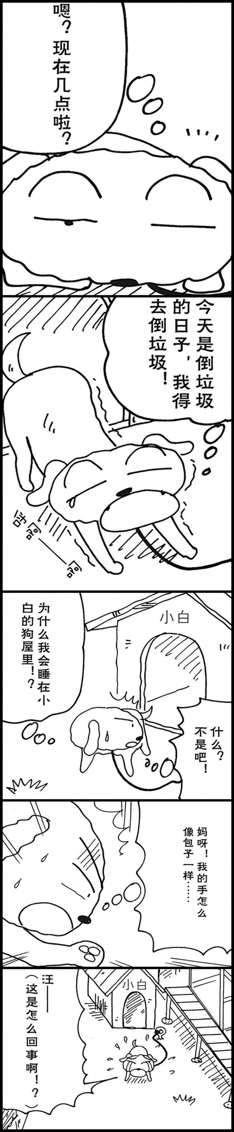 12.jpg
