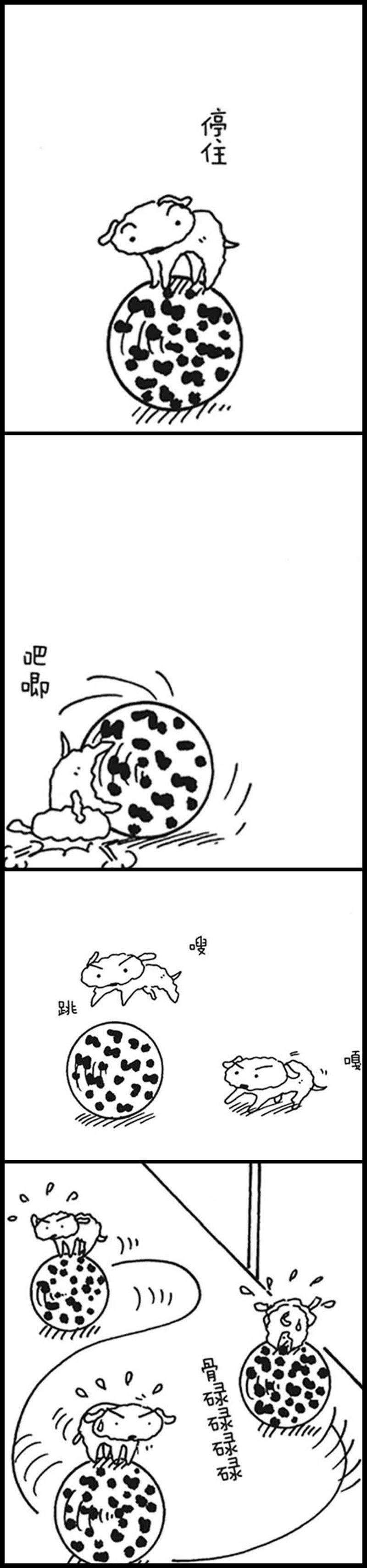 8.jpg
