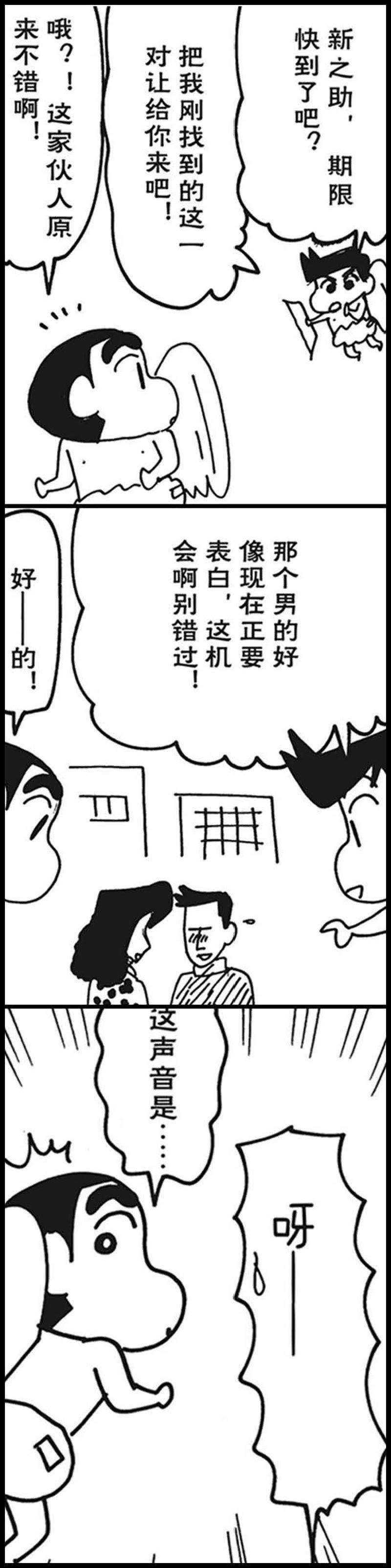 12.jpg