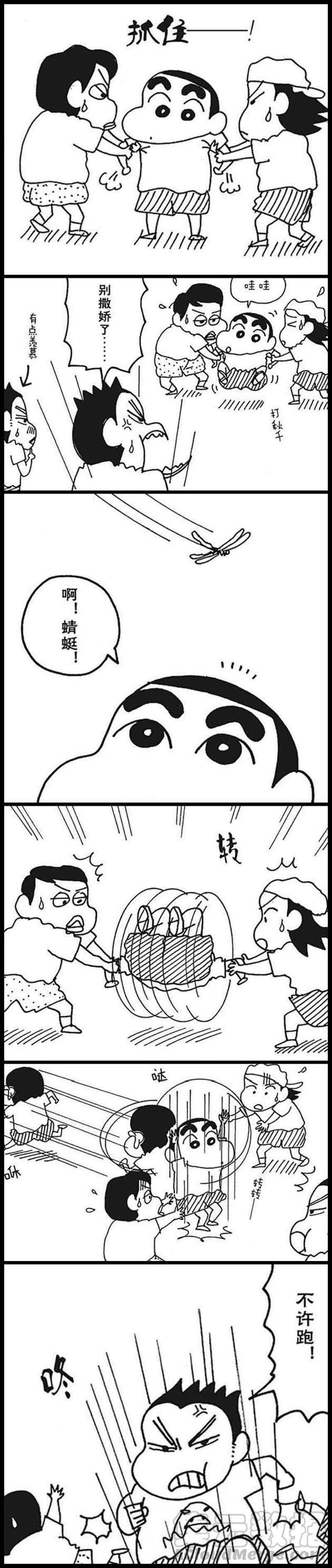 13.jpg