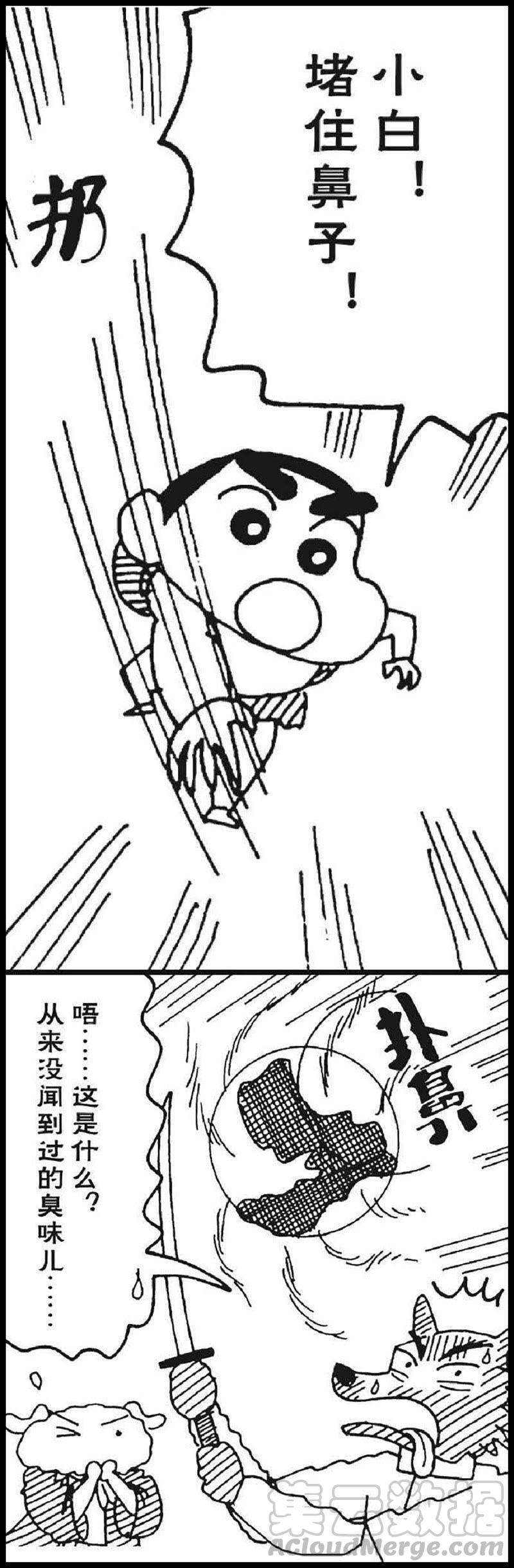 16.jpg