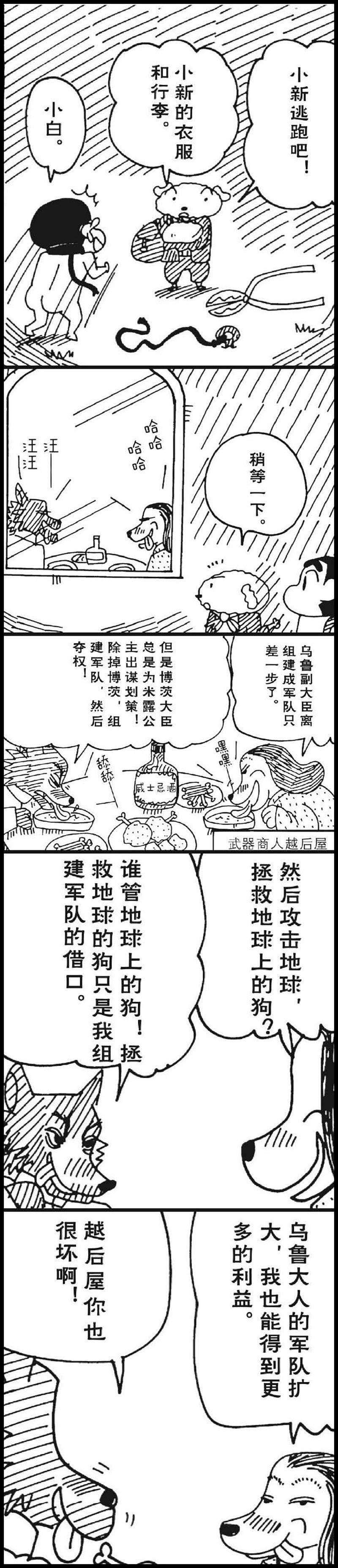 11.jpg