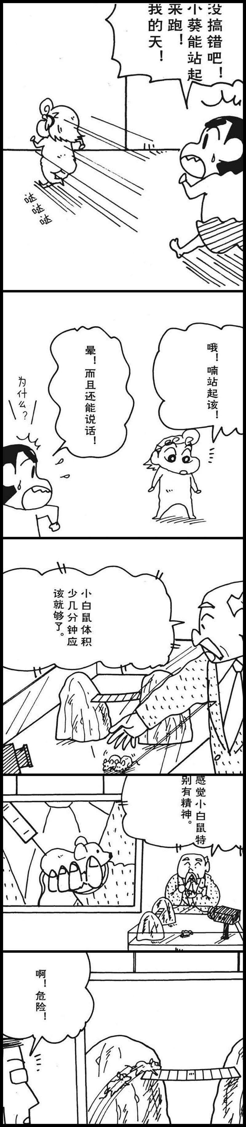 9.jpg