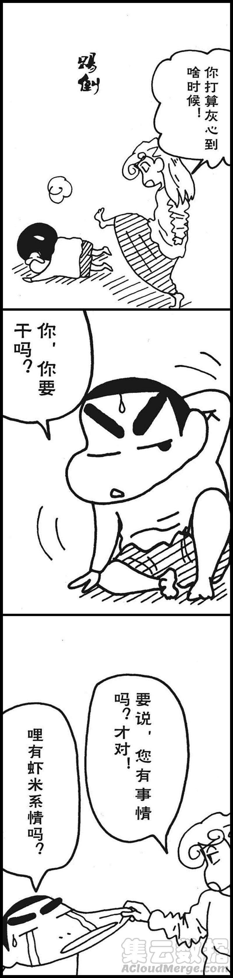 13.jpg
