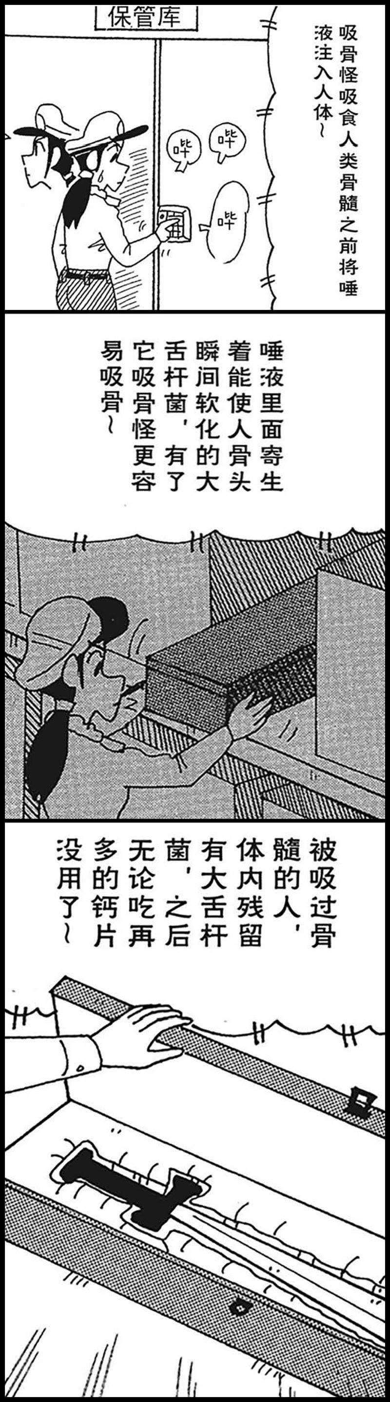 12.jpg