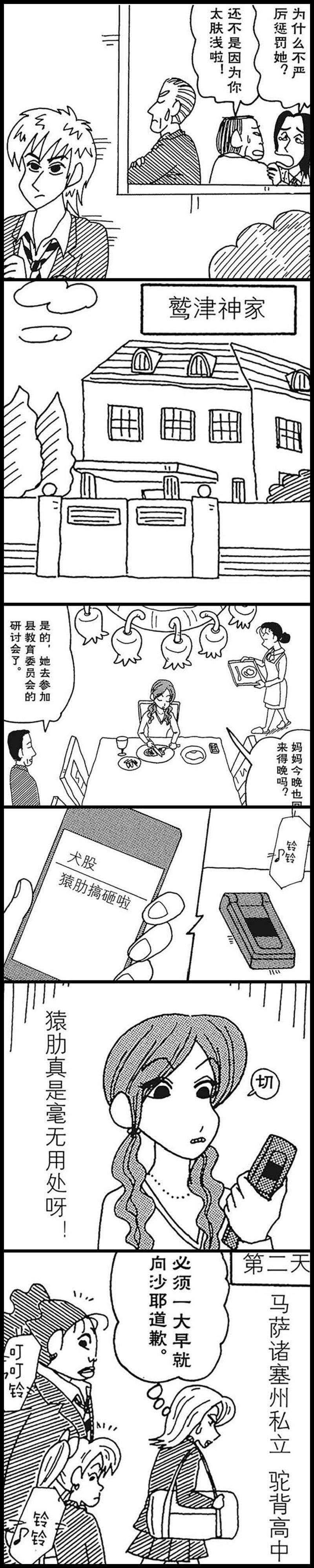 15.jpg