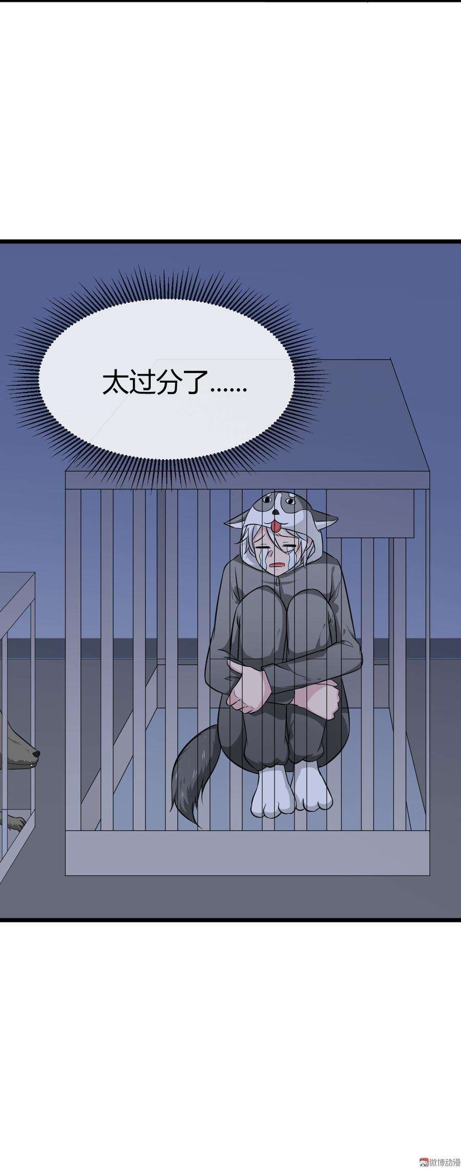 47.jpg