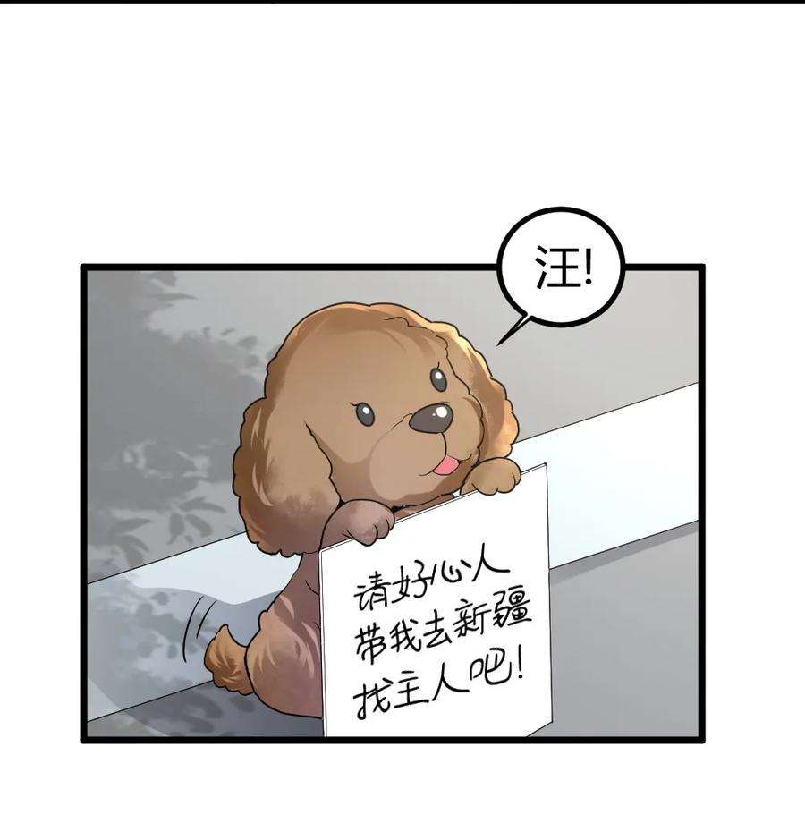 55.jpg