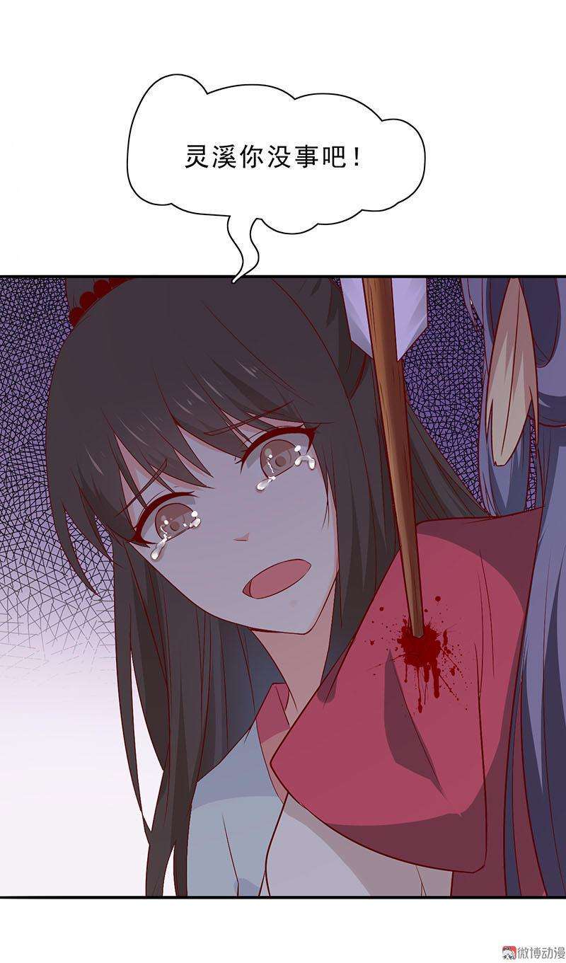 26.jpg