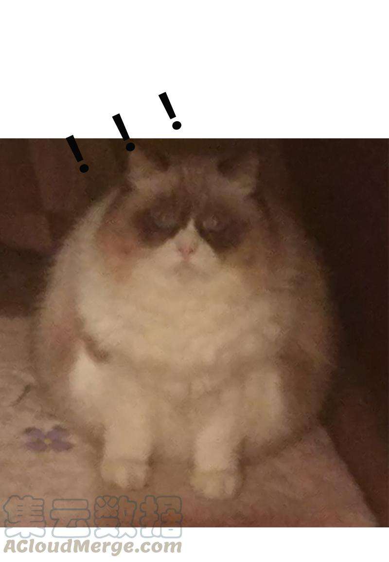 33.jpg