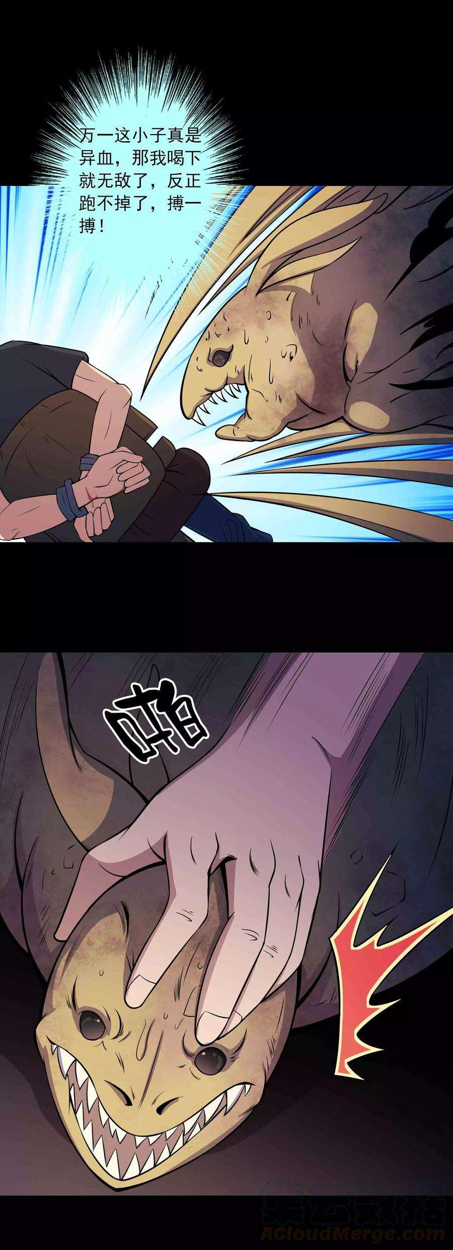 17.jpg
