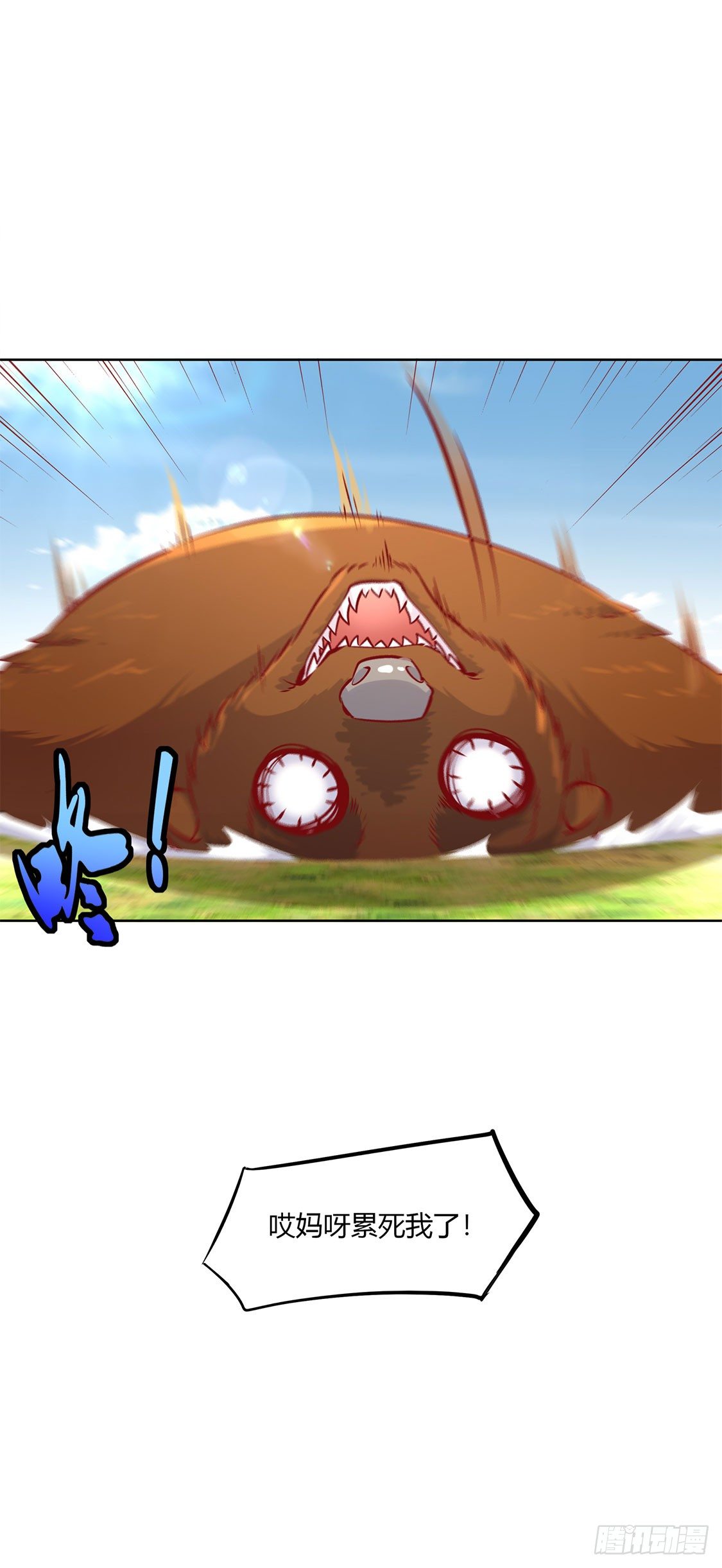 17.jpg