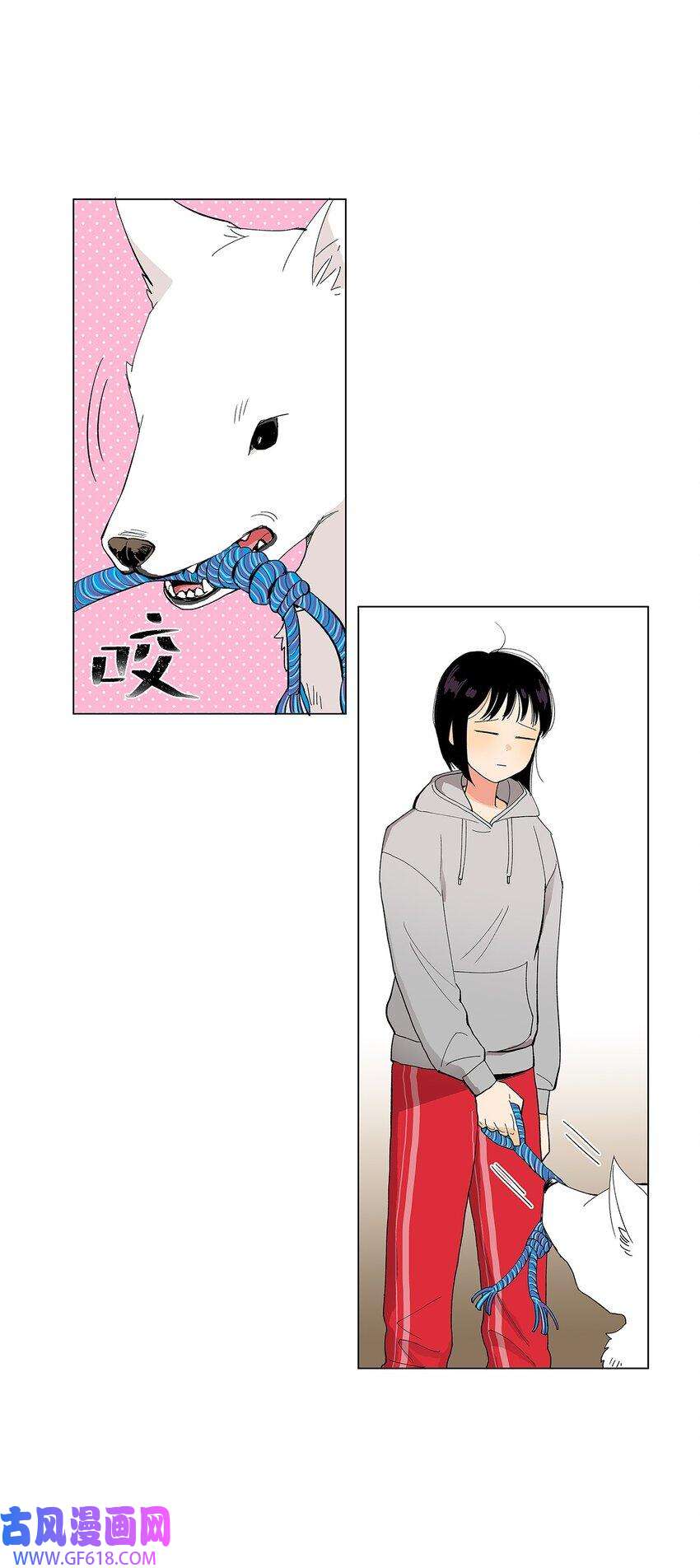 41.jpg