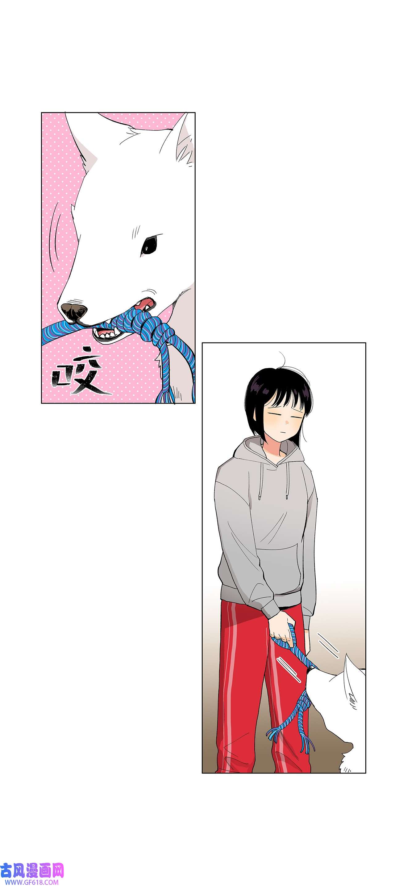 41.jpg