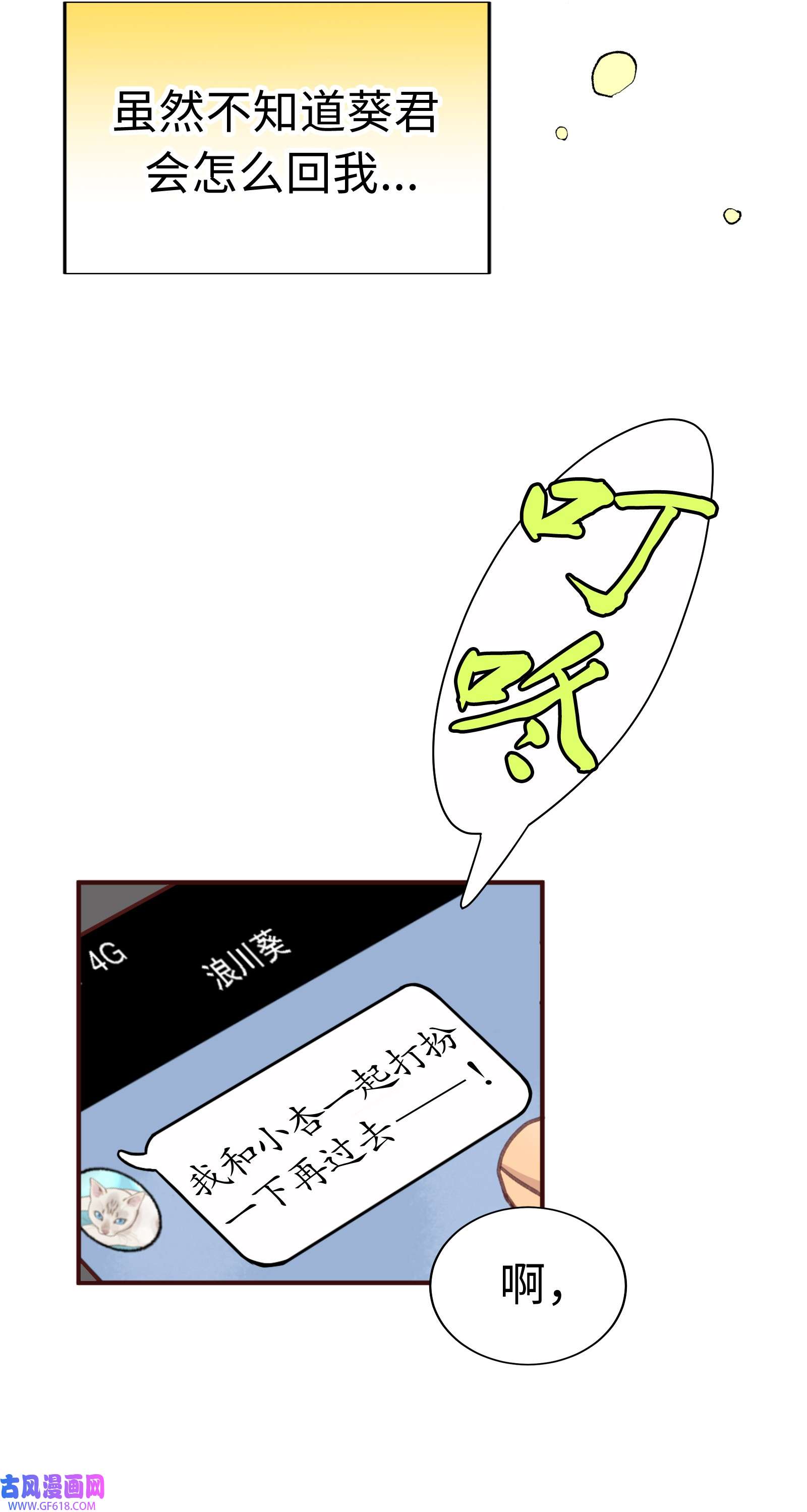 51.jpg