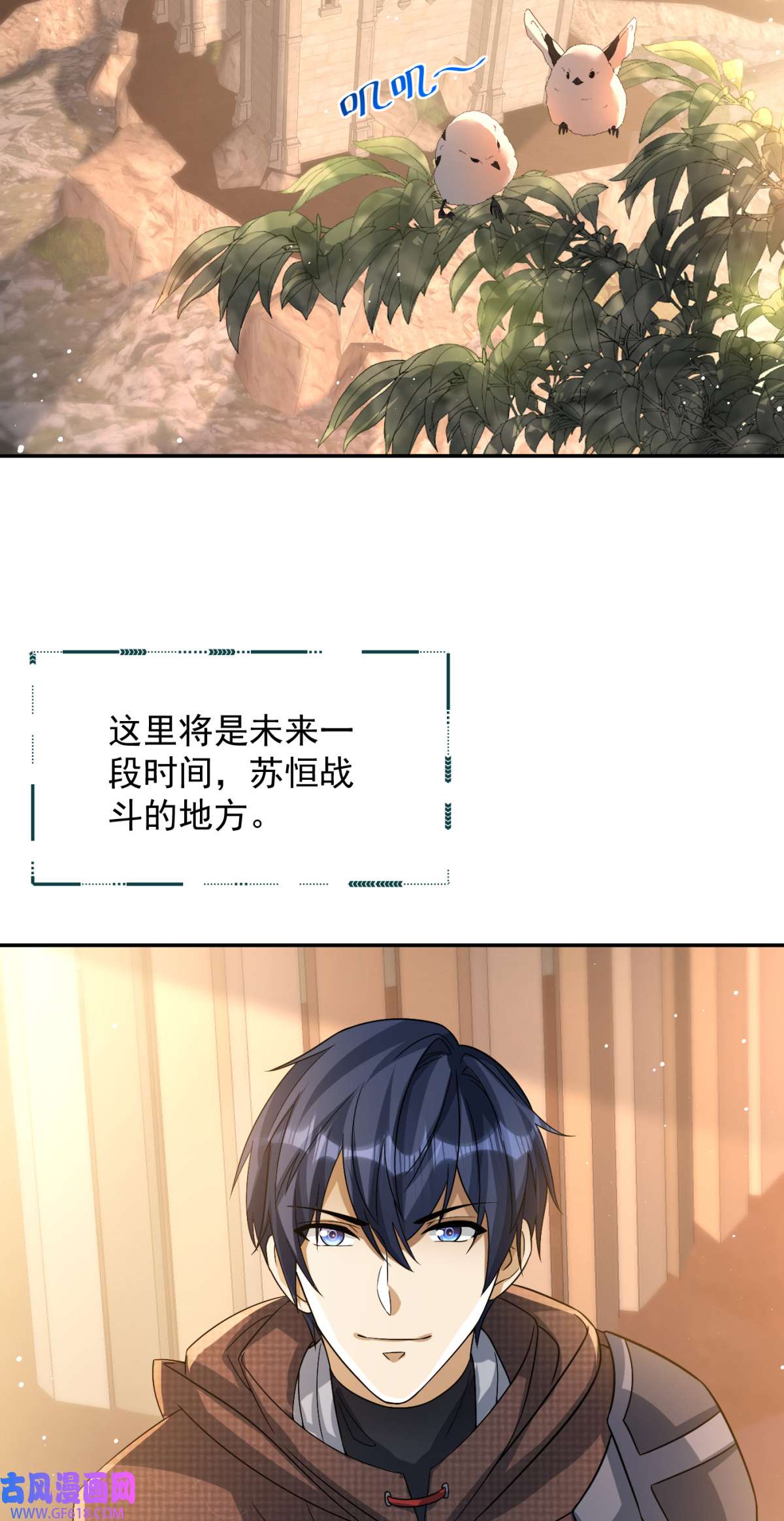 6.jpg