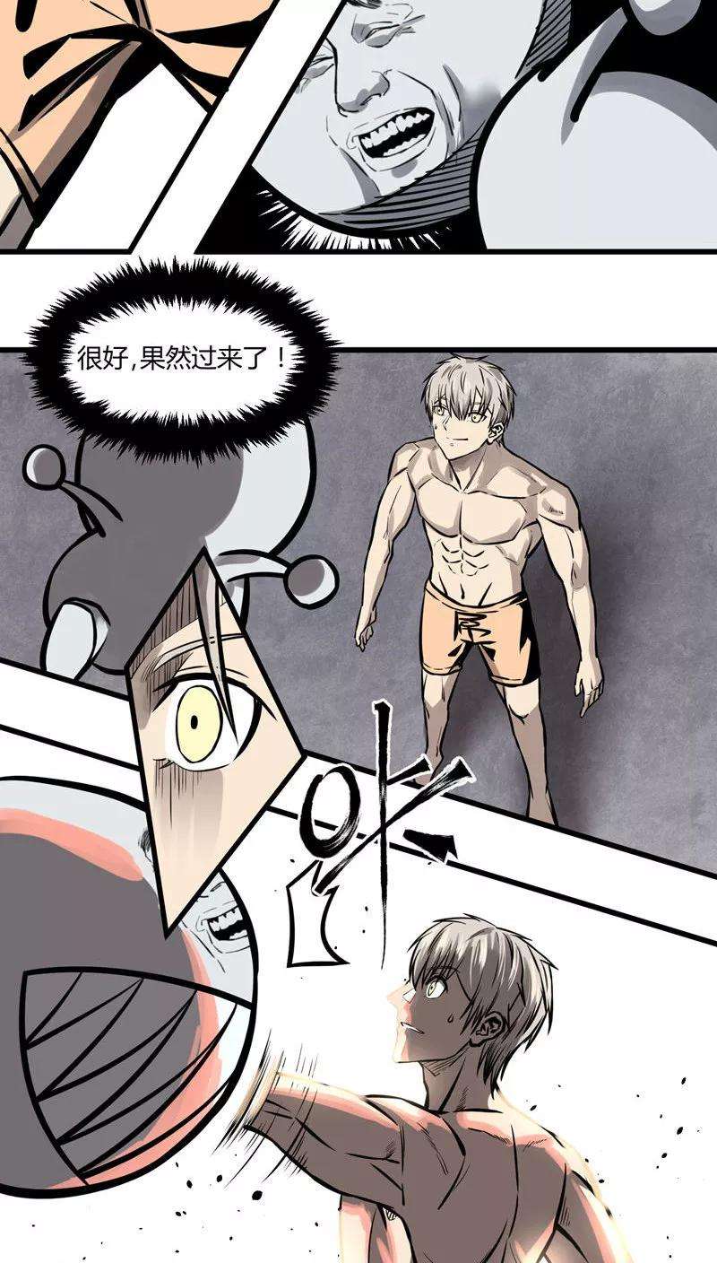 20.jpg