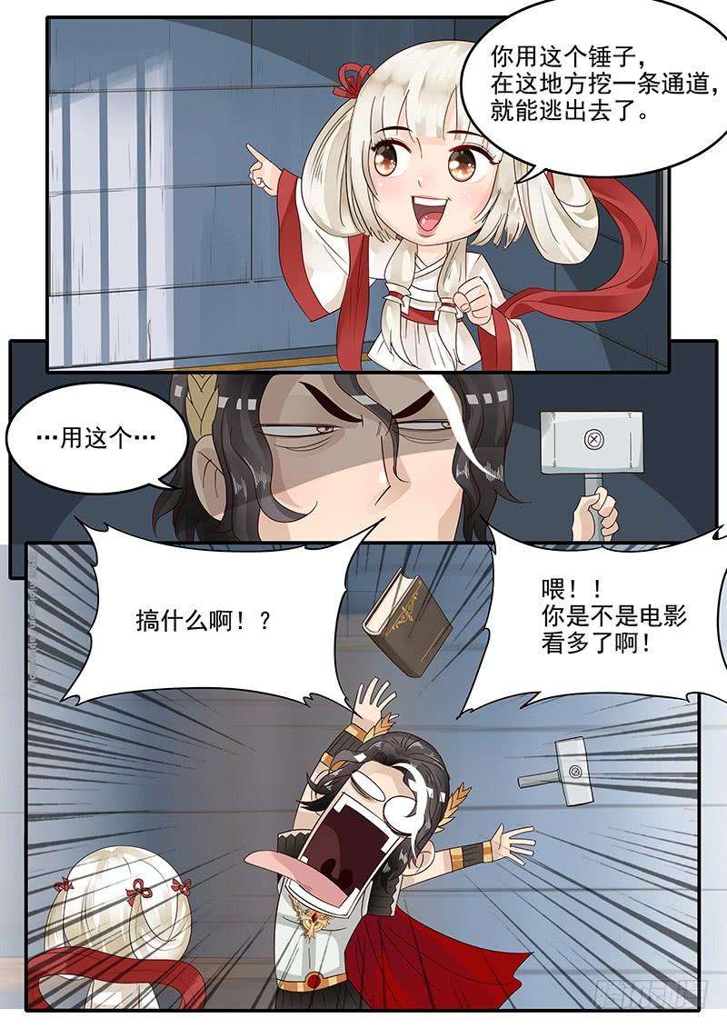 5.jpg