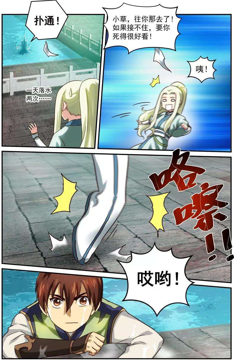5.jpg