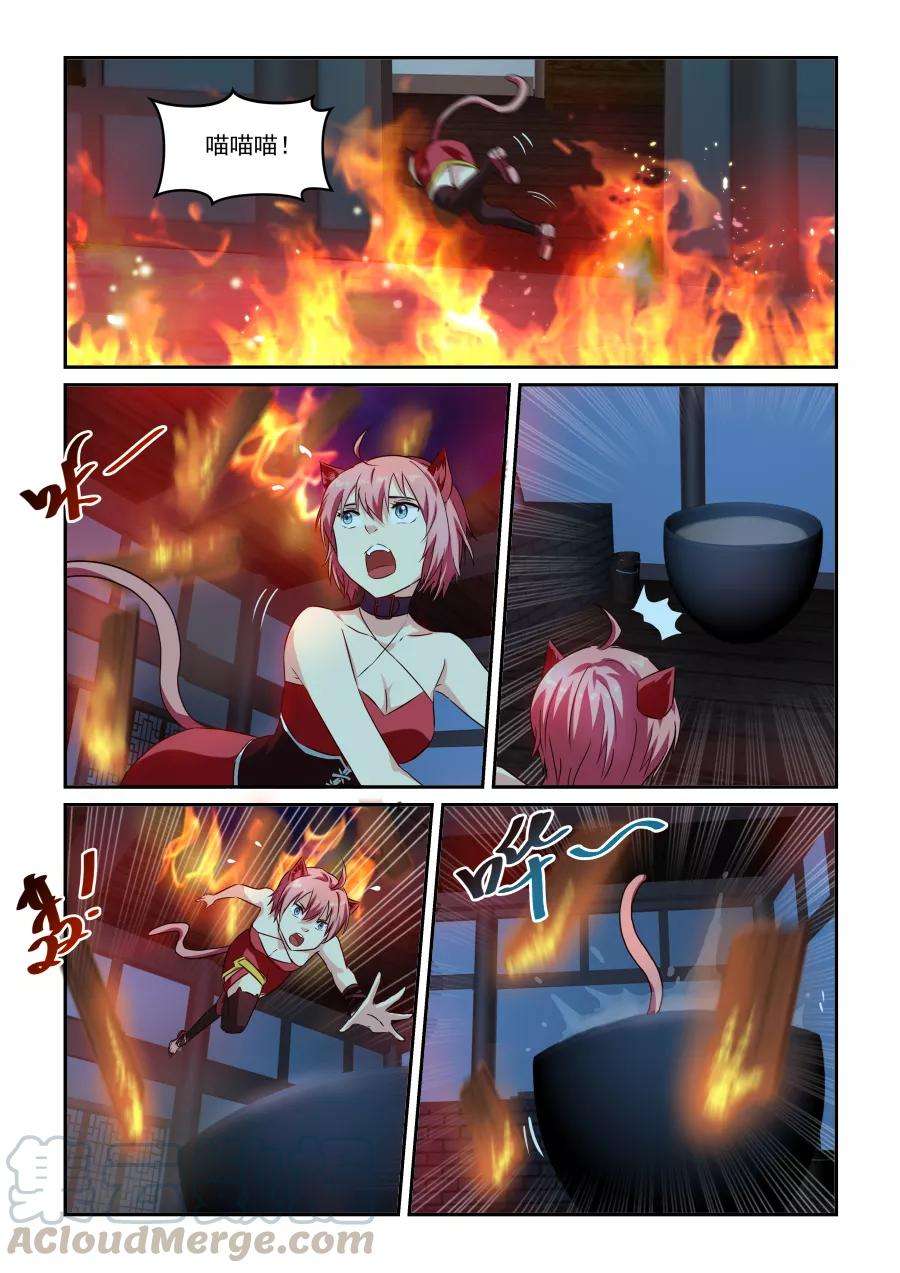 11.jpg