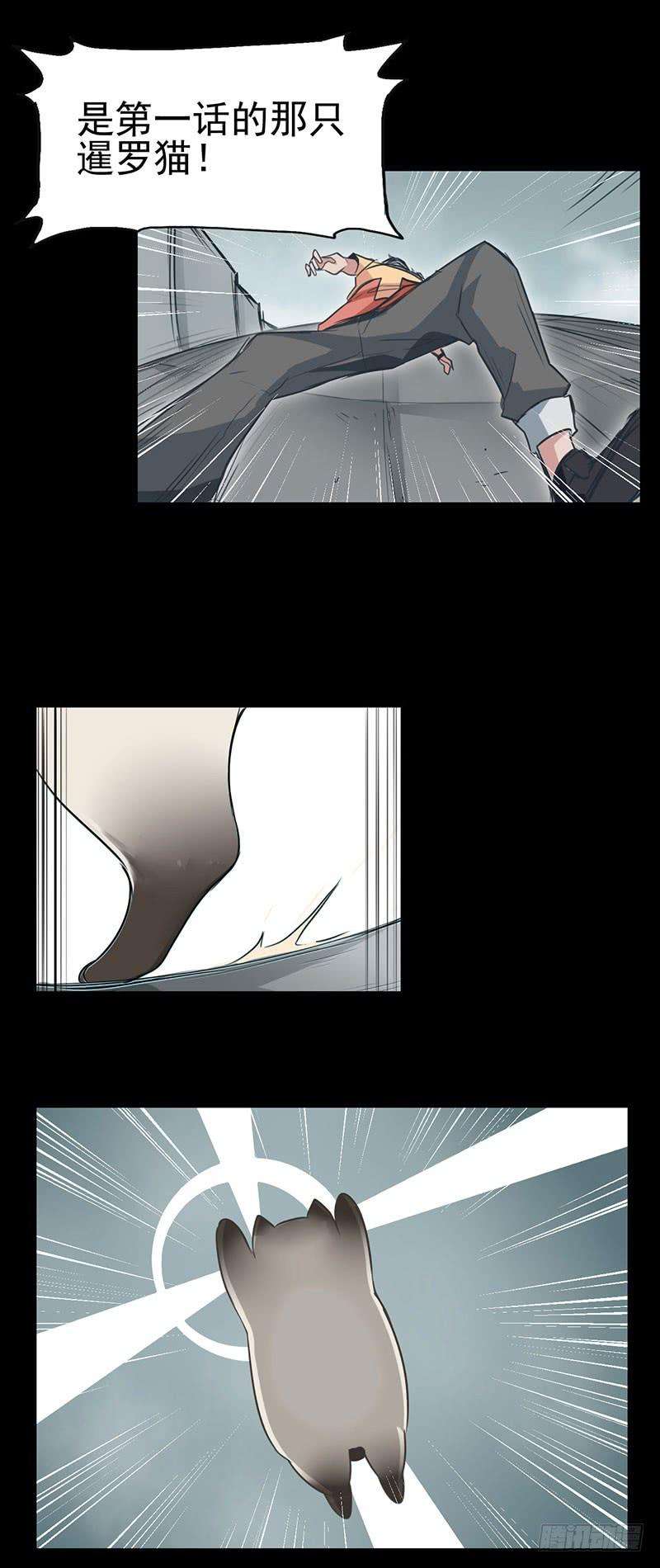 26.jpg