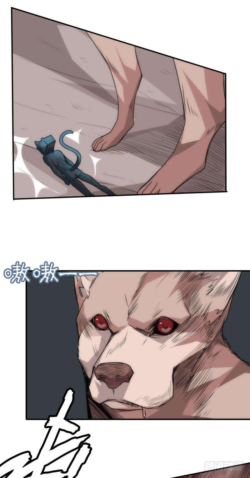 19.jpg