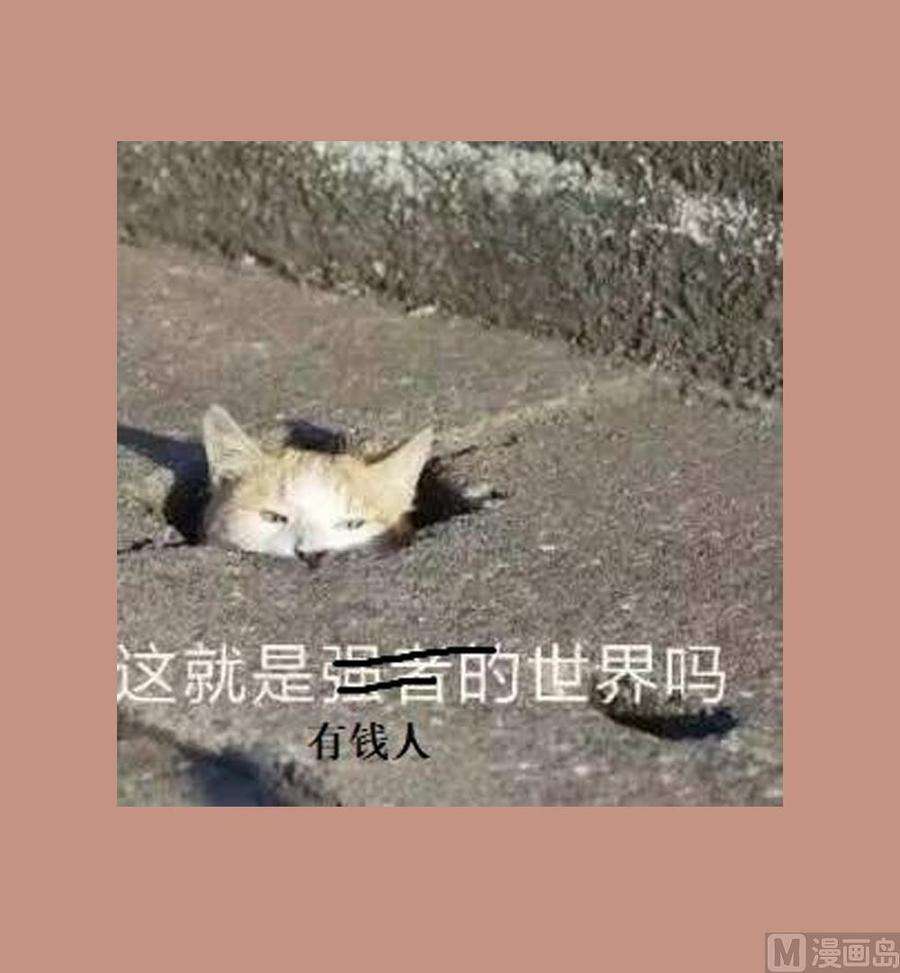 69.jpg
