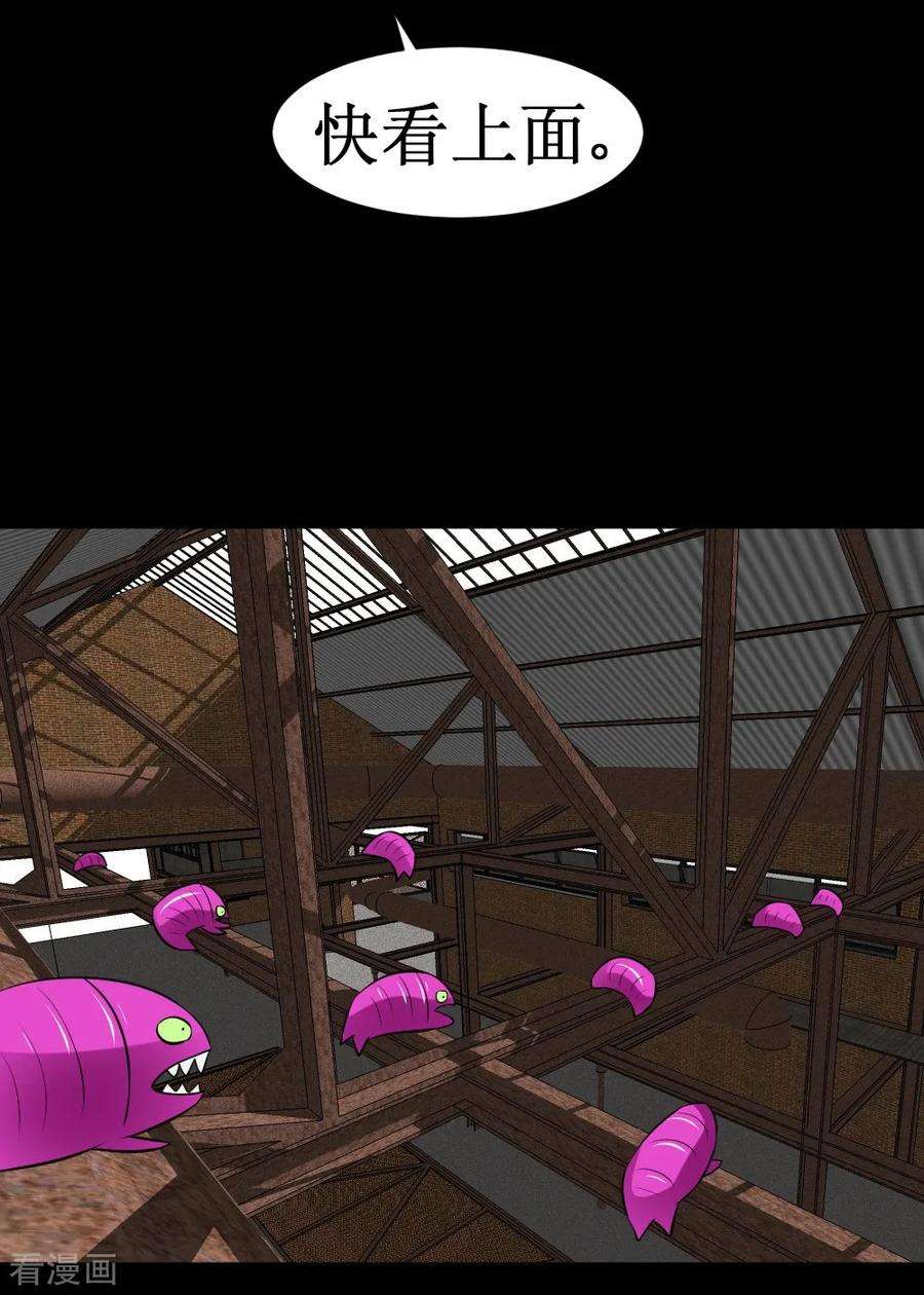 55.jpg