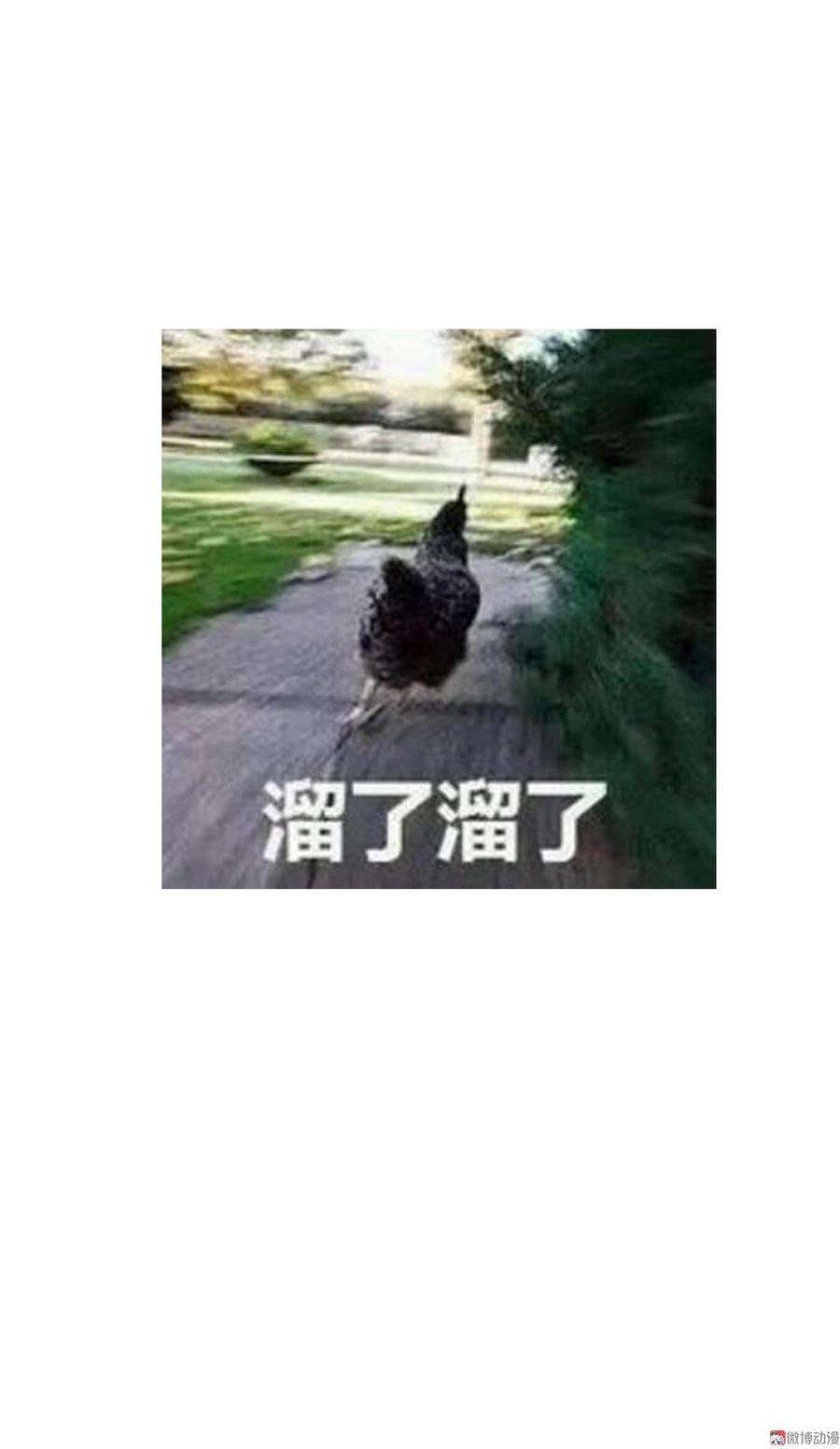 66.jpg