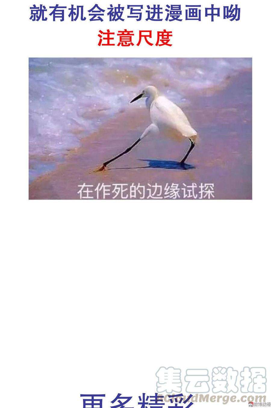51.jpg